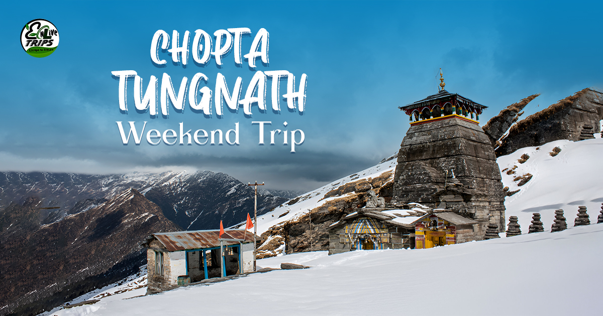 Chopta Chandrashila Trek in Winter (December, January, February): A Complete Guide